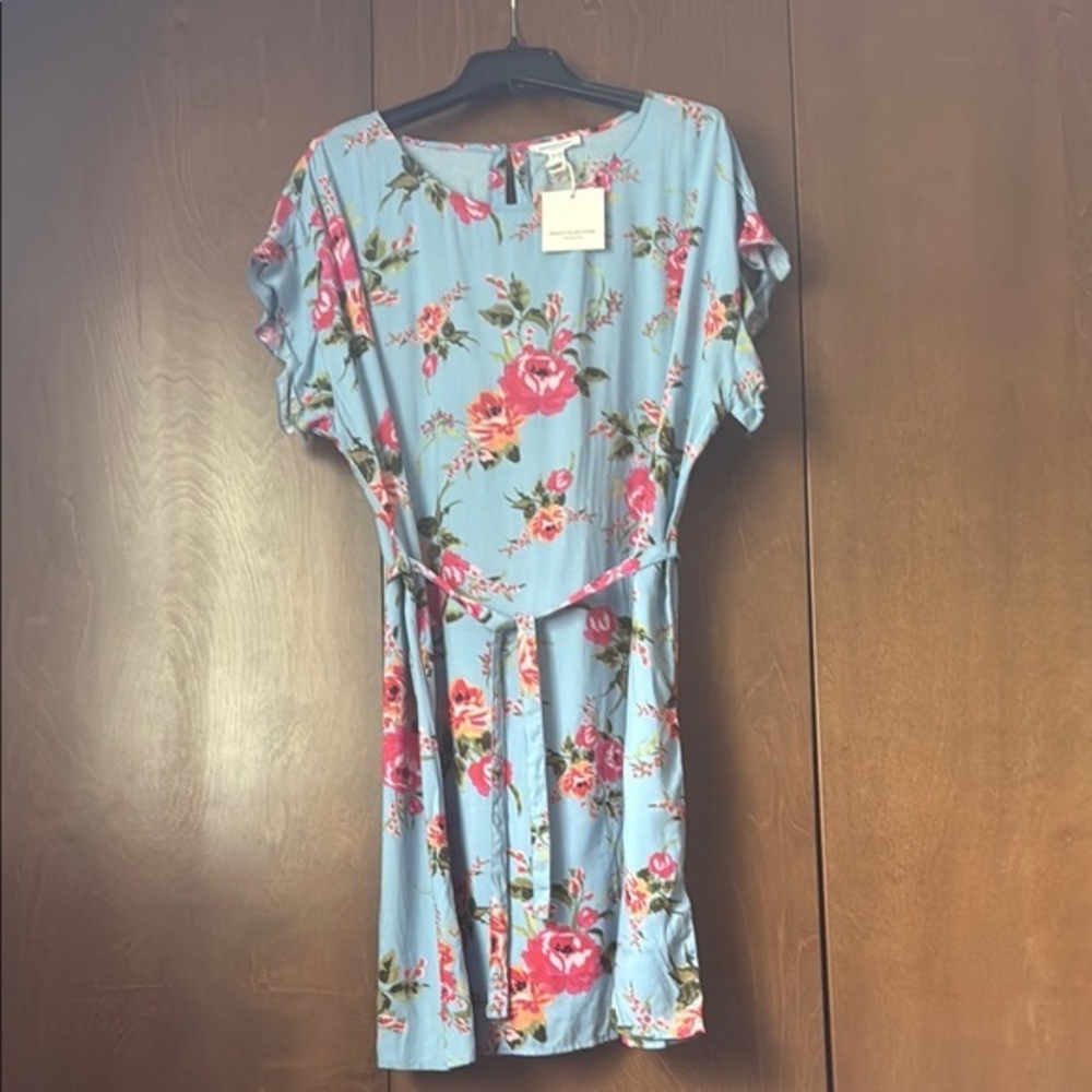 Beach Lunch Lounge NWT Sz XL Viscose Pullover Floral Blue Dress, Flutter Sleeves